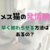 メス猫の発情期はうるさい…早く終わらせる方法はあるの？
