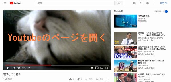 Chromeでピクチャー イン ピクチャーする方法