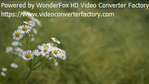 WonderFox HD Video Converter Factory Proの使い方　GIF動画作成　サンプル
