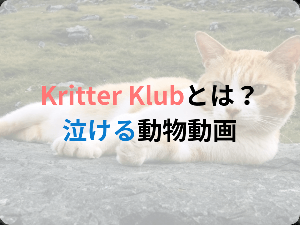 Kritter Klubの字幕が変だけど泣ける…動物系Youtube動画