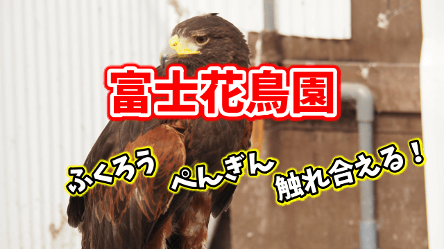 富士花鳥園　観光　クーポン　割引　アクセス　営業時間　入園料金