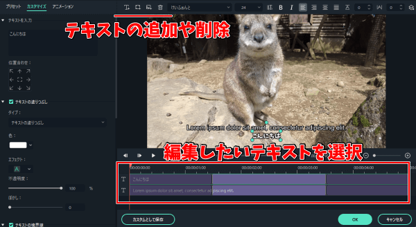Filmora11の動画編集　字幕の入れ方　高度編集　テキストの追加や削除