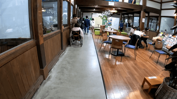 掛川花鳥園　世界のフクロウ展示