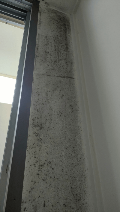 カビ強力除去スプレー カビホワイト使ってみた　黒カビだらけのコンクリート壁