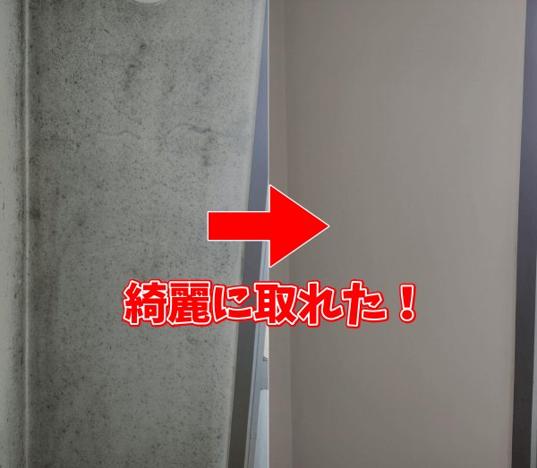 カビ強力除去スプレー カビホワイト使ってみた　黒カビだらけのコンクリート壁　綺麗に掃除できた　使い方