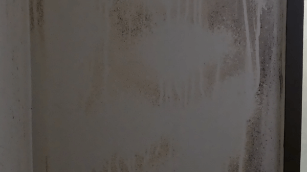 カビ強力除去スプレー カビホワイト使ってみた　黒カビだらけのコンクリート壁　スプレー数分後　拭き掃除