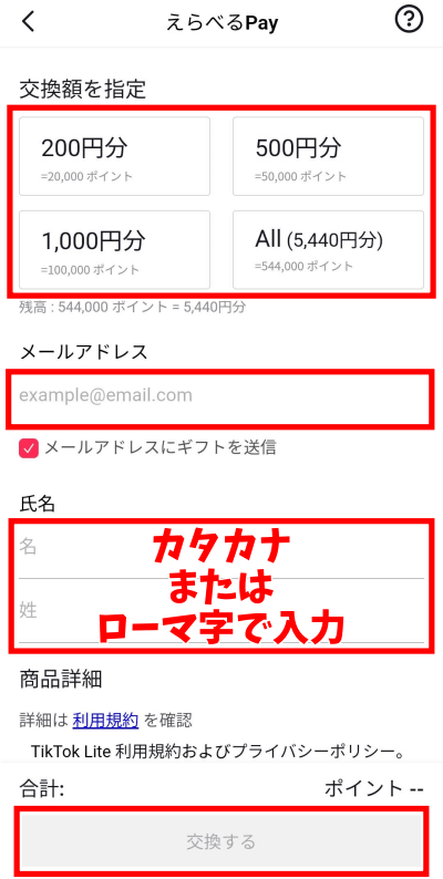 TikTok Liteの5000円キャンペーン　ポイント交換方法　えらべるPay　名前を入力